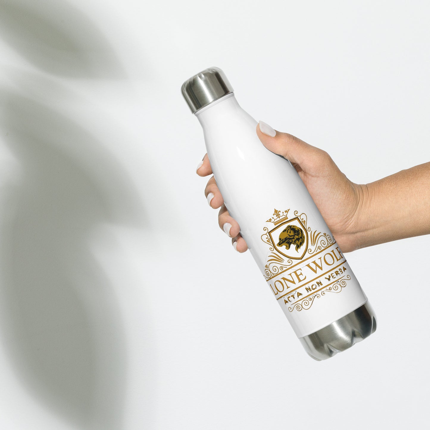 Stainless Steel Water Bottle